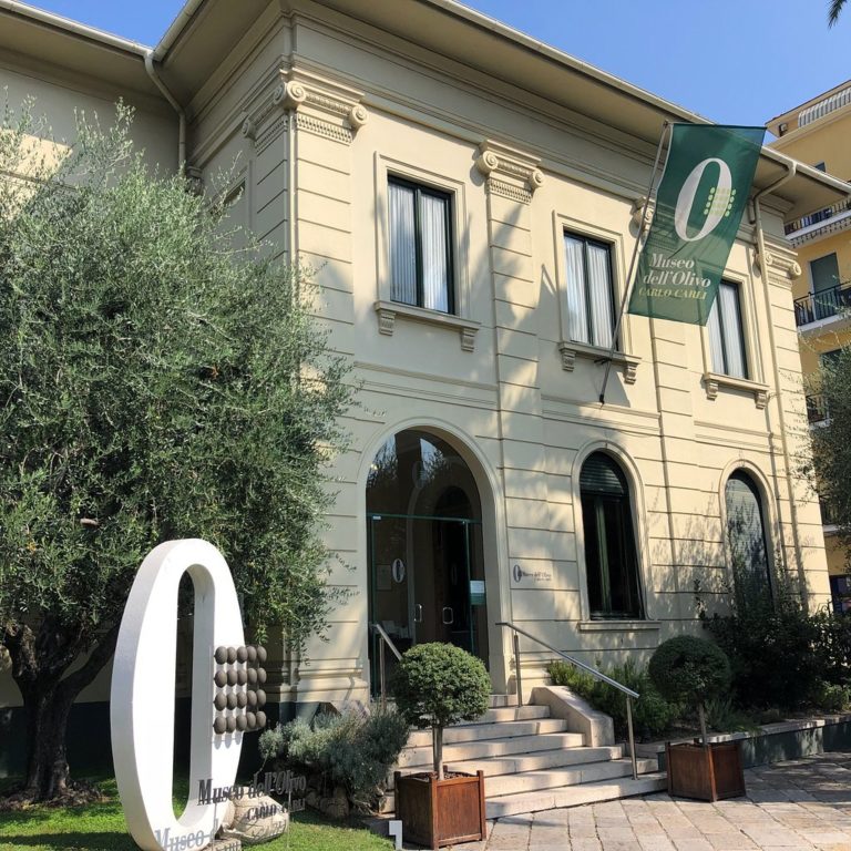 museo-dell-olivo-768x768