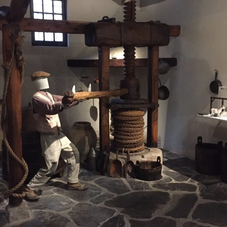 museo-dell-olivo-interno-2-768x768