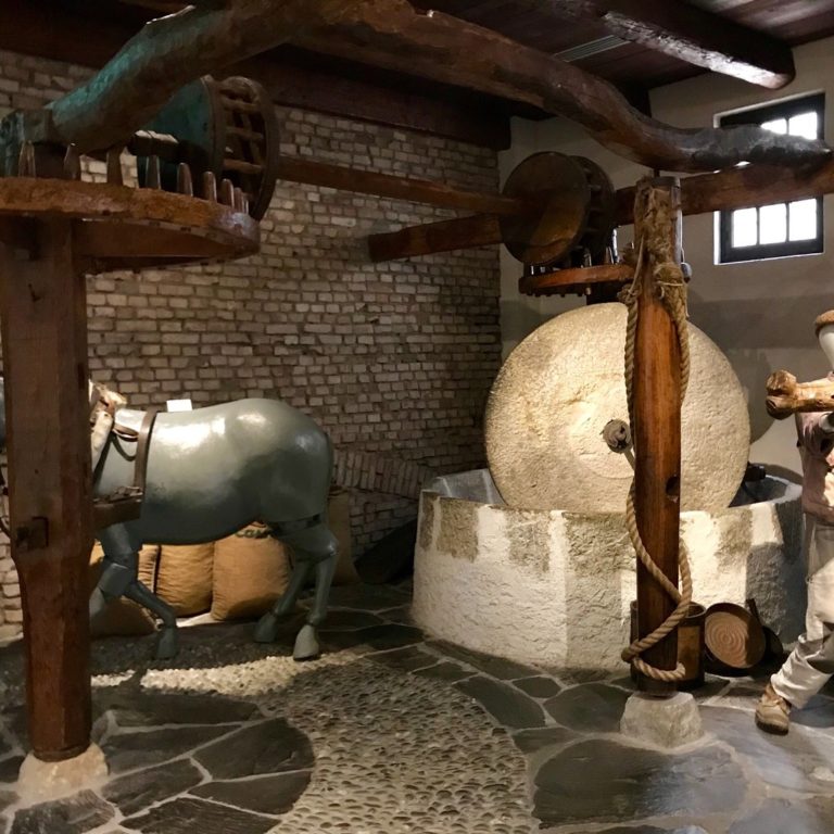 museo-dell-olivo-interno-768x768